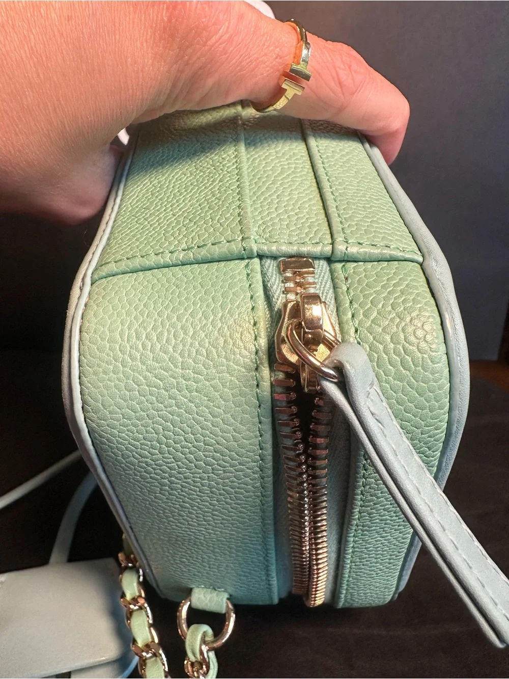 Chanel CC Filigree Small Vanity Case Pink Green Caviar Leather Crossbody